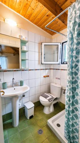 ein Badezimmer mit Waschbecken, Toilette und Spiegel in der Unterkunft Villa Vanda in Ligia