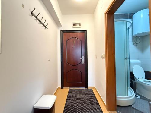 a bathroom with a wooden door and a toilet at Apartman Natural Vlašić in Šišava