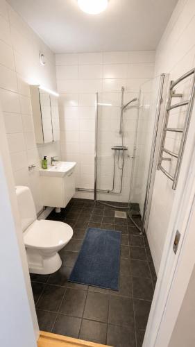 a bathroom with a toilet and a shower and a sink at Terrasstudion - Borgholm in Borgholm
