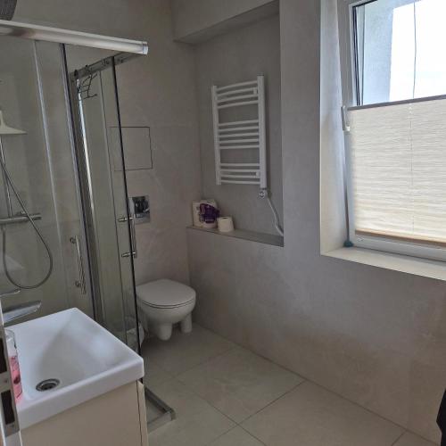 a bathroom with a shower and a toilet and a sink at Melnragė, Molo g in Melnragė