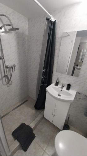 a bathroom with a sink and a shower and a toilet at Zitanka Apartman Bogács in Bogács
