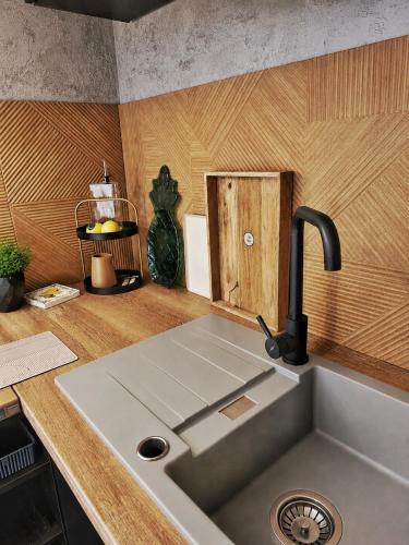 a kitchen counter with a sink and a sink at Slunečná Chalet in Velké Chvojno