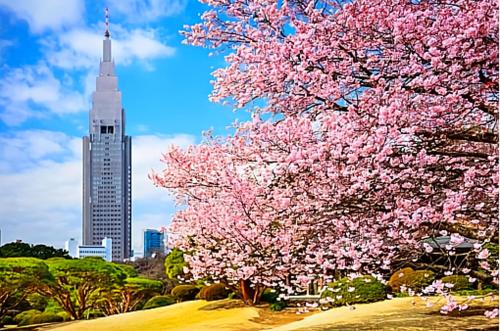 50 平方 - 2 浴室 2 卫生间 - 新宿 1 站地 - 大久保 - Ikeman St - 歌舞伎町 - Liberty Stay