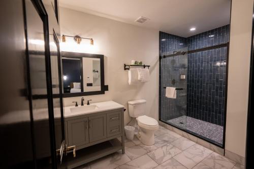 a bathroom with a toilet sink and a shower at Hotel Frisco in Frisco