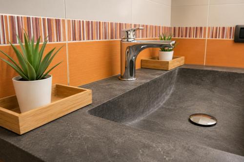 a kitchen sink with a faucet and two potted plants at BB Naviglio Milano Centro in Milan