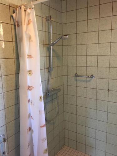 a shower with a shower curtain in a bathroom at Vakantiepark Vosseven 77 in Stramproy