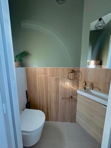 a bathroom with a toilet and a sink at La villa Bern in Sorgues