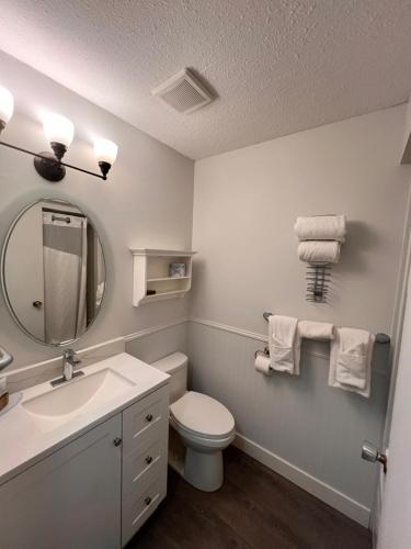 a bathroom with a toilet and a sink and a mirror at Armstrong Inn in Armstrong