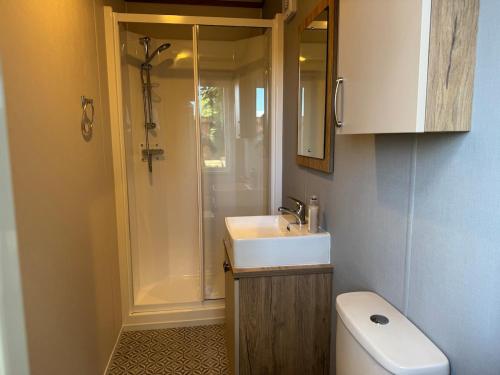 a bathroom with a shower and a sink and a toilet at Luxury lodge Henley in Cherry Burton