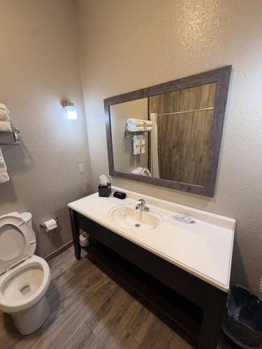 a bathroom with a toilet and a sink with a mirror at Sagebrush Hotel in Crystal City