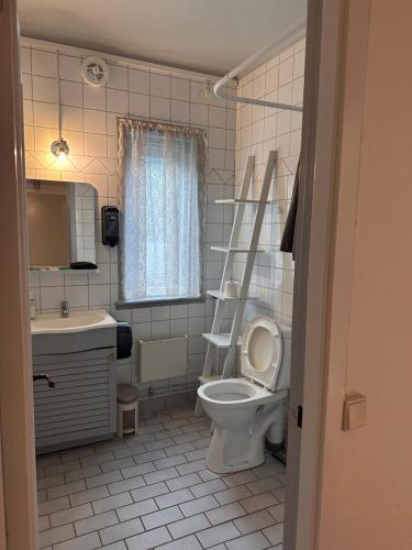 a small bathroom with a toilet and a sink at Härjulfs hus in Lillhärdal