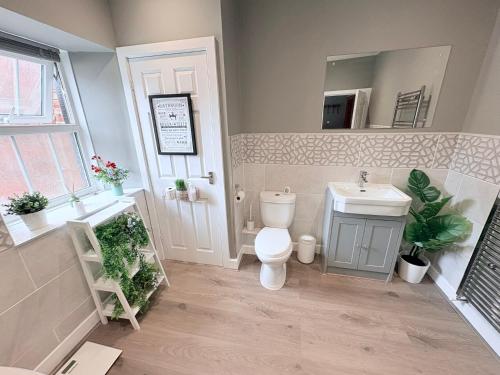 a bathroom with a toilet and a sink and a mirror at The Oaks Cottage in Penrith