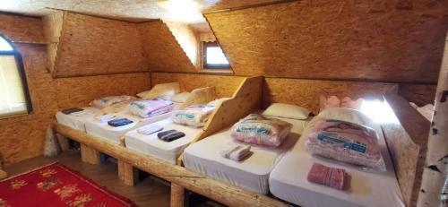 a group of four beds in a room at Pinetrees Lodge Hostel in Nadgrad