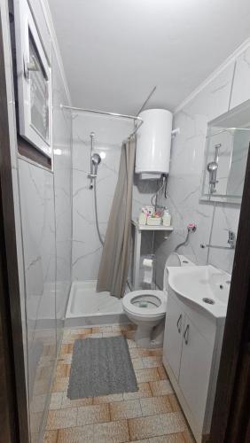 a bathroom with a shower and a toilet and a sink at ČANJ Apartman Slavica in Čanj