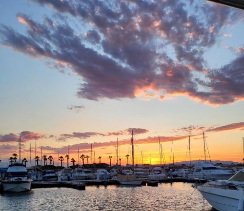 a group of boats docked in a marina at sunset at Bateau 66 in Le Barcarès
