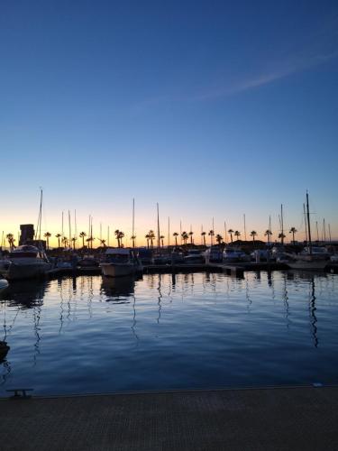 a group of boats docked in a marina at Bateau 66 in Le Barcarès