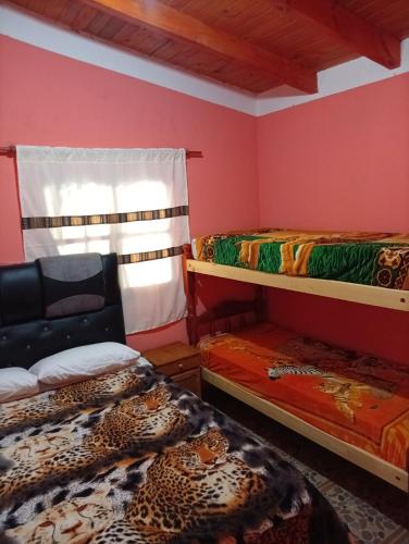 a room with two bunk beds and a window at Maimara Hospedaje Sumalawa in Maimará