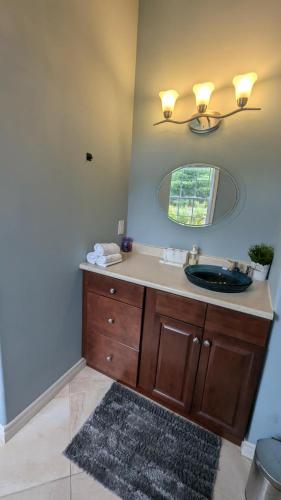 a bathroom with a sink and a mirror at Happy Moose Guest Suite in Porters Lake