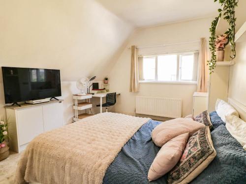 a bedroom with a bed and a flat screen tv at 59 Nursery Avenue in Coleraine