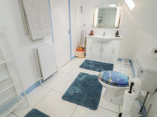 a bathroom with a toilet and two blue rugs at 59 Nursery Avenue in Coleraine