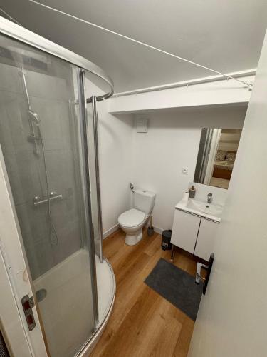 a bathroom with a shower and a toilet and a sink at LOFT cosy in Poitiers