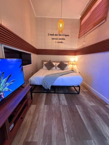 a bedroom with a bed and a flat screen tv at Casa Panal , Jacuzzi opcional Villa Alemana in Villa Alemana