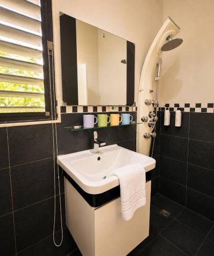 a bathroom with a sink and a mirror at 日月潭 讀好聚民宿 2-22人 一次只接待一組 in Yuchi