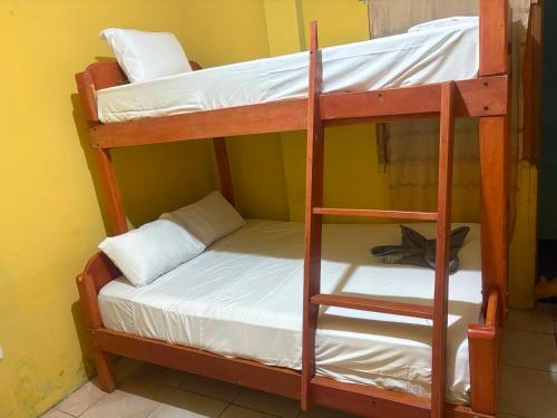 a couple of bunk beds in a room at Welcome to the Amazon in Iquitos