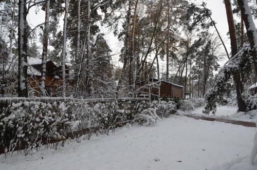 a yard covered in snow with a fence and trees at Chumatskiy Shlyah in Romankiv