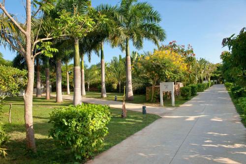 a sidewalk lined with palm trees in a park at Meliá Zanzibar in Kiwengwa