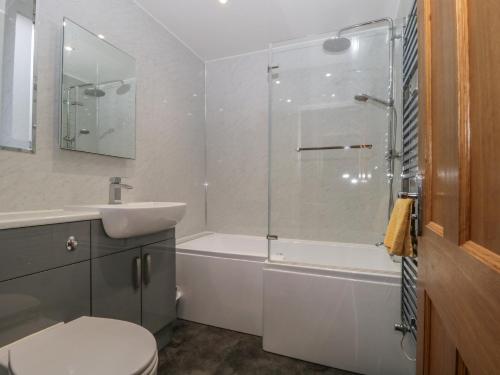 a bathroom with a shower and a toilet and a sink at High Spy in Keswick