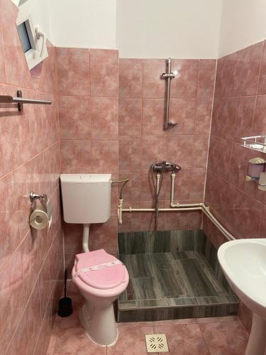 a bathroom with a pink toilet and a sink at Casa David in Sulina