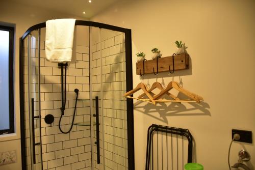 a bathroom with a shower with a mirror and a shower at Simply Stunning Stars B in Lake Tekapo