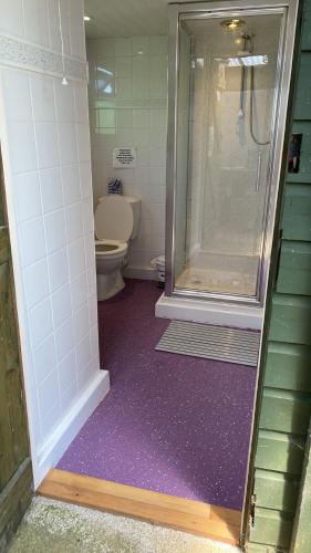 a bathroom with a shower and a toilet at Hut 4 Ewe glamping pod with shared facilities in Bideford