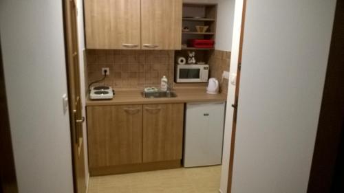 una pequeña cocina con fregadero y microondas en Apartment LULU, en Štrbské Pleso