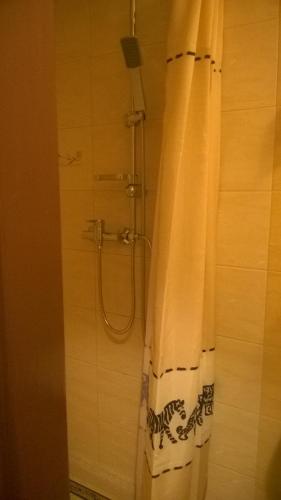 y baño con ducha y cortina de ducha. en Apartment LULU, en Štrbské Pleso