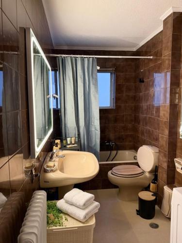 Panoramic Seafront Apartment- Flisvos Marina