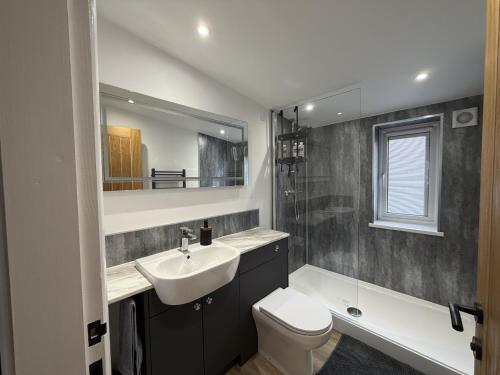 a bathroom with a sink and a toilet and a mirror at Crossways Sycamore in Grimsby