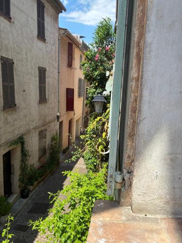 Elegant Apartment on a Quiet Street in Old Town photo 15