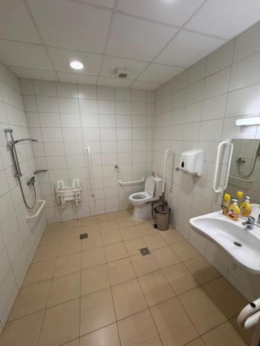 a bathroom with a toilet and a sink at Kambarių nuoma in Utena