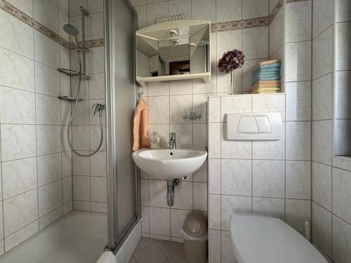 a bathroom with a shower and a sink and a toilet at Ferienhaus Klöber in Lichtenhain