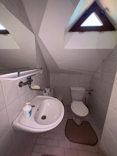 a small bathroom with a sink and a toilet at Hostinec U Havlů in Olomouc