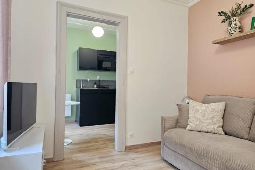 a living room with a couch and a television at Studio cocooning à 5km du centre de Strasbourg in Schiltigheim