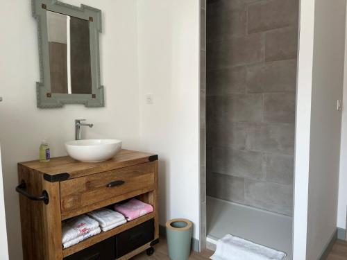 a bathroom with a sink and a shower at G Opératif in Ornans