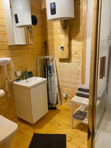 a bathroom with a sink and a shower at Daglezji 170 in Dziwnów