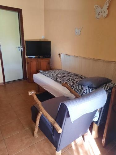 a bedroom with a bed and a tv in a room at Bogi vendégház in Mezőkövesd