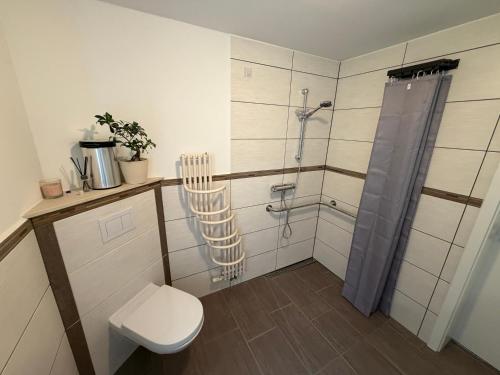 a bathroom with a shower and a toilet in it at Ferienhaus am Johannesberg in Heuthen