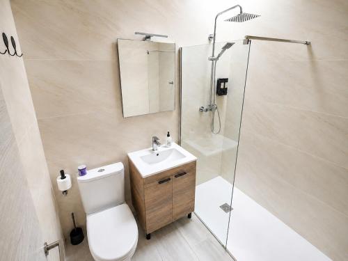 a bathroom with a shower and a toilet and a sink at EL Niu del Delta in Deltebre