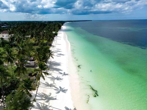 an aerial view of a beach with palm trees at MANOLO Beach Resort in Uroa