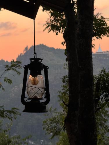 a lantern hanging from a tree with the sunset in the background at Saffron Eco Cottage in Ella